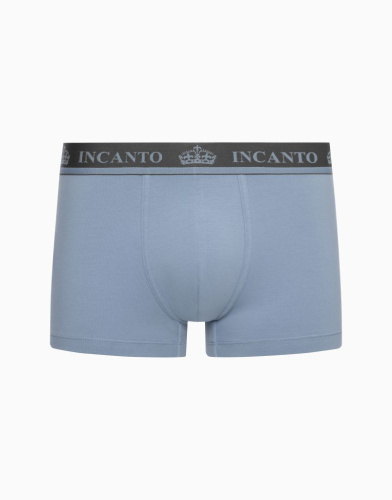 Боксеры INCANTO BU1235