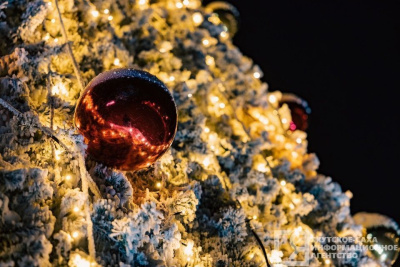 Новогодние подарки сотрудникам или их детям готовят 9 из 10 компаний в Якутске / ЯСИА Якутск Якутск Республика Саха (Якутия)