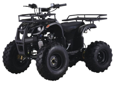 Квадроцикл BSE SHUTTLE