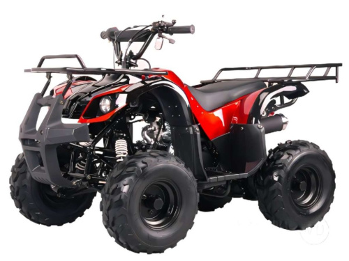 Квадроцикл BISON Spider 110 red