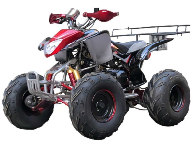 Квадроцикл BISON Raptor 150 Sport