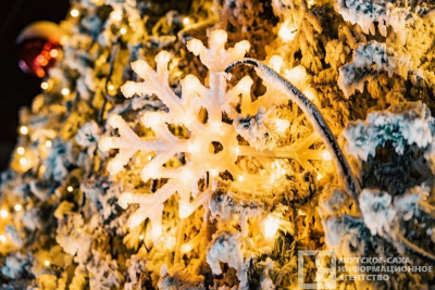 Российский бизнес обратился за уникальными новогодними подарками / ЯСИА   