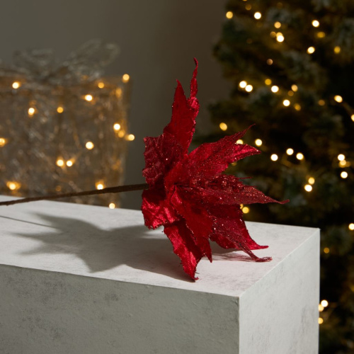 Цветок Пуансеттия/Poinsettia II
