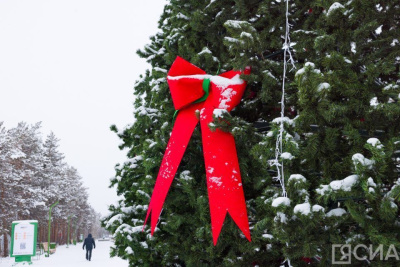 Якутянам предлагают проголосовать за новогодние открытки своих земляков в конкурсе Музея Победы / ЯСИА   