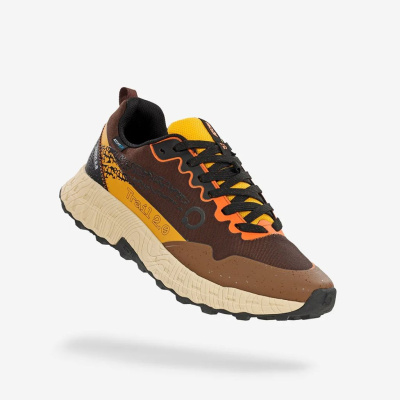 Кроссовки мужские Terra V2 Waterproof