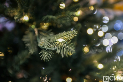 Национальный центр «Россия» готовит насыщенную новогоднюю программу для россиян / ЯСИА   