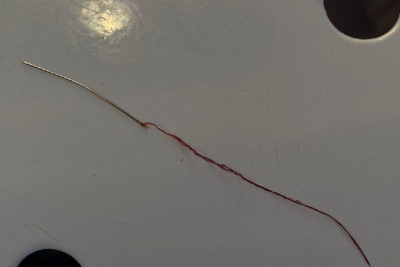 Иголку для шитья извлекли ветеринары Якутии из глотки домашней кошки / ЯСИА   