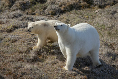 Природные и культурные объекты Якутии планируют включить в перечень Всемирного наследия ЮНЕСКО / ЯСИА   