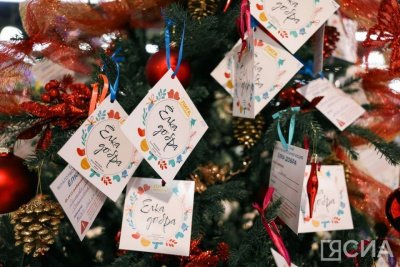 Боец из Якутии из зоны СВО принял участие в акции «Ёлка добра» / ЯСИА   