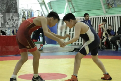 В Оленьке прошел республиканский турнир для юных борцов, посвященный памяти тренера / ЯСИА   