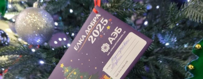 «Ёлка добра»: солнечные дети поверили в чудеса благодаря клиентам АЭБ /    