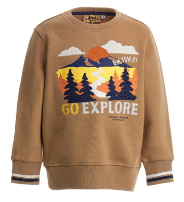 Свитшот для мальчика