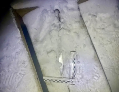 Жительница Якутска осуждена к лишению свободы за  убийство мужчины /    