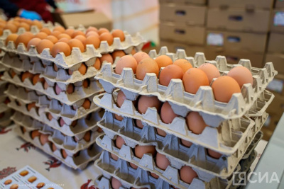 Как выбрать и хранить яйца: советы Роскачества / ЯСИА   