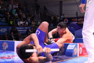 Международный турнир по мас-рестлингу пройдет в Кыргызстане / Дьулустаан Сергеев   