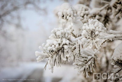 В Якутию вернулись 50-градусные морозы / ЯСИА   