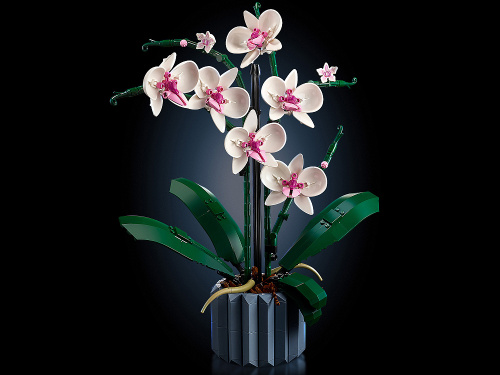 Creator 10311 Конструктор Орхидея