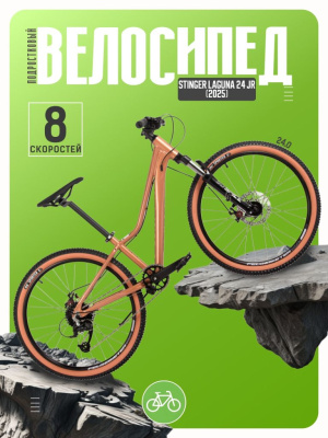 Подростковый велосипед Stinger Laguna 24 JR, год 2025, цвет Коричневый