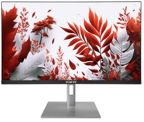 Монитор 23,8" RDW Computers RDW2407 2407K/F14В3120V2A1B черный/серебристый IPS 1ms HDMI M/M HAS Piv 300cd 178гр/178гр 1920x1080 120Hz VGA DP FHD USB (