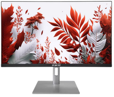Монитор 23,8" RDW Computers RDW2407 2407K/F14В3120V2A1B черный/серебристый IPS 1ms HDMI M/M HAS Piv 300cd 178гр/178гр 1920x1080 120Hz VGA DP FHD USB (