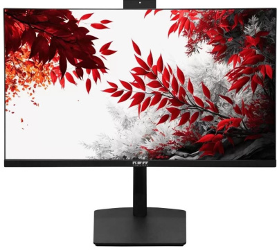 Монитор 27" RDW Computers RDW2702K 2702K/Q19В3100V2A1H ЧЕРНЫЙ IPS 1MS HDMI M/M CAM МАТОВАЯ HAS PIV 1000:1 350CD 178ГР/178ГР 2560X1440 100HZ DP QHD USB