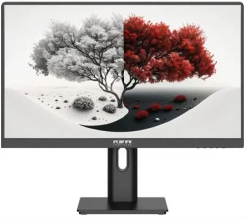 Монитор 23,8" RDW Computers RDW2401K 2401K/F05B3120V2A1B ЕМТЦ.467846.005-01 23,8" 1920X1080(FHD) IPS 120HZ 4МС 178°/178 350CD VGA HDMI DP АУДИО ВХОД/В