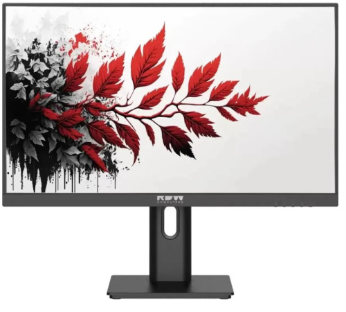 Монитор 27" RDW Computers RDW2701K 2701K/F00B3120V2A1 ЧЕРНЫЙ IPS 5MS 16:9 HDMI M/M МАТОВАЯ HAS PIV 1000:1 300CD 178ГР/178ГР 1920X1080 120HZ VGA DP FHD