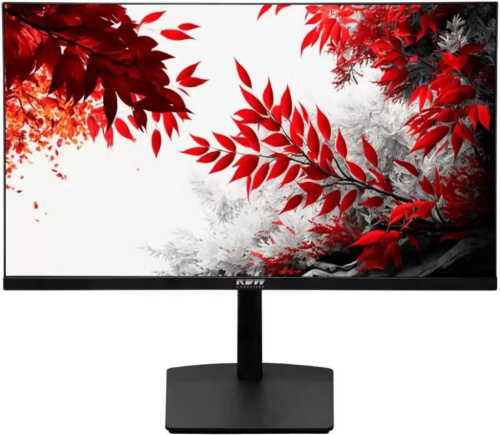 Монитор 31,5" RDW Computers RDW3207 3207K/F23B075V2A1B ЧЕРНЫЙ IPS 1MS HDMI M/M PIV 300CD 178ГР/178ГР 1920X1080 75HZ VGA FHD USB (RUS)