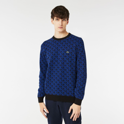 Мужской свитер Lacoste свободного кроя