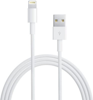 Кабель Apple Lightning на USB 100см (MXLY2/MD818/MUQW3) (белый)
