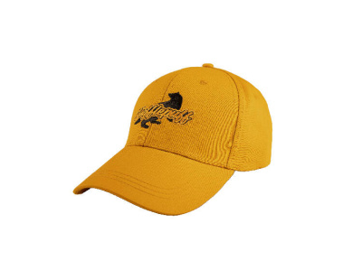 Бейсболка Гарри Поттер Пуффендуй