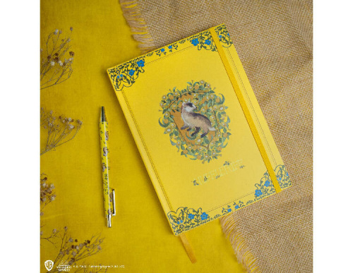 Блокнот и ручка Гарри Поттер Волшебный мир Пуффендуя