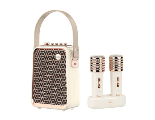 Портативная колонка с двумя микрофонами Divoom SongBird-HQ 2 (белый)