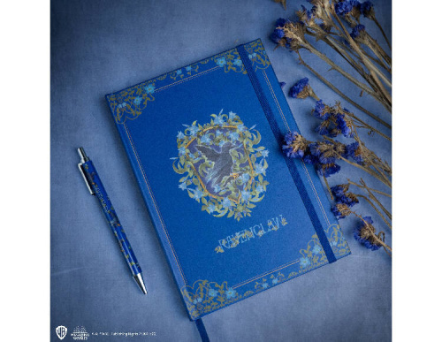 Блокнот и ручка Гарри Поттер Волшебный мир Когтеврана