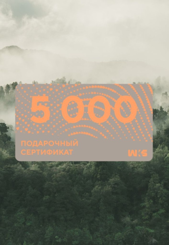 Сертификат Электронный  5000 U (Бесцветный / Бесцветный)