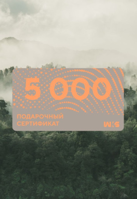 Сертификат Электронный  5000 U (Бесцветный / Бесцветный)