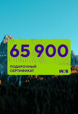 Сертификат Электронный  65900 U (Бесцветный / Бесцветный)