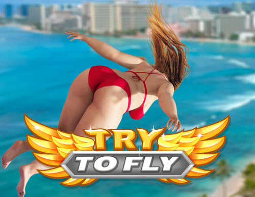 Try to Fly (PC)