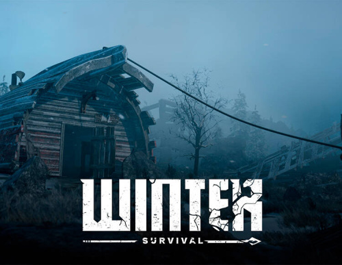 Winter Survival (PC)