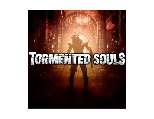 Tormented Souls (Nintendo Switch - Цифровая версия) (EU)