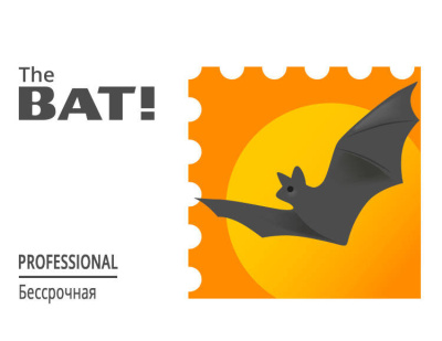 The BAT! Professional (персональная лицензия, бессрочная) (PC)