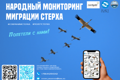 Якутяне могут помочь в мониторинге миграции стерха / ЯСИА   