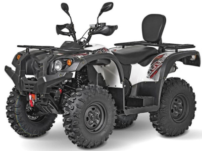Квадроцикл BALTMOTORS BM500 EFI LE