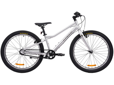 Подростковый велосипед Alpine Bike Pegas 3-24, год 2026, цвет Серый