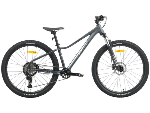 Женский велосипед Alpine Bike Pegas 8-27, год 2026, цвет Серый, ростовка 16