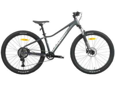 Женский велосипед Alpine Bike Pegas 8-27, год 2026, цвет Серый, ростовка 16