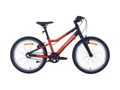 Детский велосипед Alpine Bike Pegas 3-20, год 2025, цвет Оранжевый