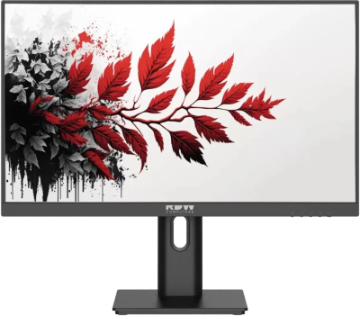 Монитор 27" RDW Computers 2701K/F00B0120V2A1 IPS FHD bl 5ms HDMI DP VGA M/M 120Hz 300cd In