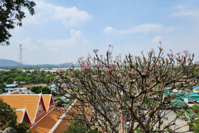 Якутия вошла в топ регионов по интересу к сайтам авиакомпаний перед майскими / ЯСИА   