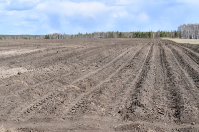 В Якутии засеют сельхозкультуры на более 52 000 гектарах / ЯСИА   Республика Саха (Якутия)